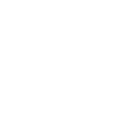 travelers' choice logo